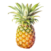 Pineapple Isolated Detailed Watercolor Hand Drawn Painting Illustration png