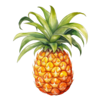 Pineapple Isolated Detailed Watercolor Hand Drawn Painting Illustration png