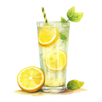 Limonade Glas isoliert detailliert Aquarell Hand gezeichnet Gemälde Illustration png