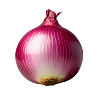 onion vegetable isolated on white transparent background png