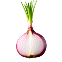 onion vegetable isolated on white transparent background png