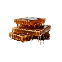 nids d'abeille isolé sur blanc transparent Contexte png