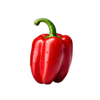 heet Chili paprika's geïsoleerd Aan wit transparant achtergrond png