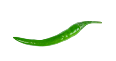 groen Chili peper geïsoleerd png