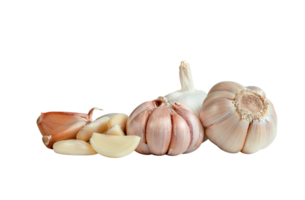 raw garlic isolated. png