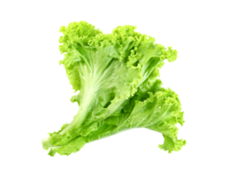 Lettuce leaf isolated. Green leaves pattern ,Salad ingredient png