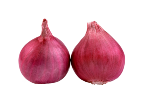 shallots onion chopped isolated png