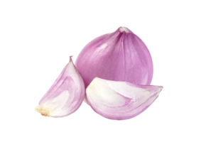 shallots onion chopped isolated png