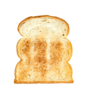 Toasted slice bread isolated png