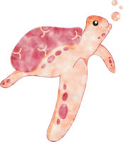 Cute Sea Turtle cartoon watercolor illustration png