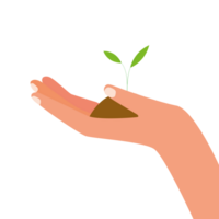 Plant in hand. icon. png