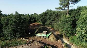 Machine Cleaning Up Tree Trunk, Deforestation video