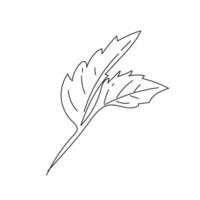 Hand drawn leaf. ink floral doodles, sketch leaves decoration. EPS 10 vector