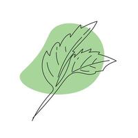 Continuous line drawing leaf. illustration vector