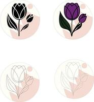 Tulip flower illustration vector