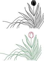 Tulip flower illustration vector