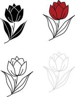 Tulip flower illustration vector