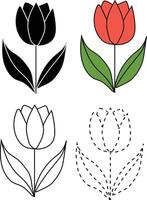 Tulip flower illustration vector