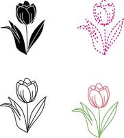 Tulip flower illustration vector