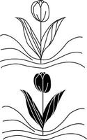 Tulip flower illustration vector