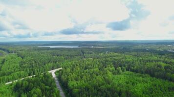 topo Visão do verão panorama do verde florestas e prados com estradas. grampo. lindo verde florestas em fundo do horizonte com céu dentro verão video