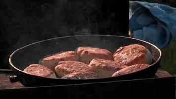 picknick in natuur. creatief. gebraden vlees in een frituren pan en maken schnitzels in mooi zo het weer. video