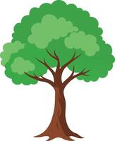 hand drawn illustration of green spring tree vector