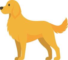 simplified flat art illustration image of Golden Retriever vector