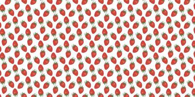 Seamless pattern with red strawberries, with each strawberry detailed in vibrant shades of red and green on an isolated white background. It is hand-drawn illustrations. vector