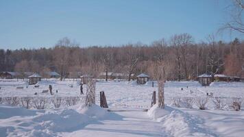 Tourist base on sunny winter day. Action. Beautiful entrance to territory of tourist recreation center in winter. Resort houses on winter glade on background of forest video