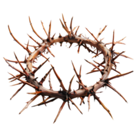 Crown of thorns on isolated transparent background png