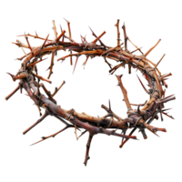 Crown of thorns on isolated transparent background png