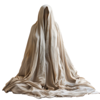 coperta fantasma su isolato trasparente sfondo png