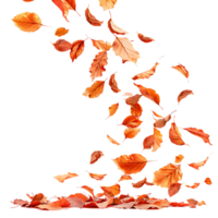Autumn leaves flying on isolated transparent background png