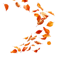 Autumn leaves flying on isolated transparent background png