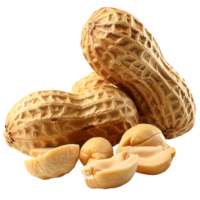 Peanuts on isolated transparent background png