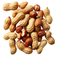 Peanuts on isolated transparent background png