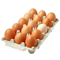 Eggs in tray on isolated transparent background png