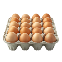 Eggs in tray on isolated transparent background png