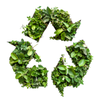 Recycle icon symbol in plants nature on isolated transparent background png