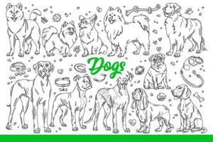 Dogs of different breeds with toys or leashes and bowls for nutritions. Hand drawn doodle. vector