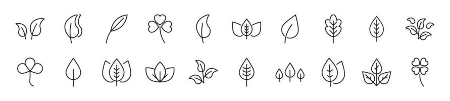 Leaf Linear icons collection. Editable stroke. Simple linear illustration for web sites, newspapers, articles book vector