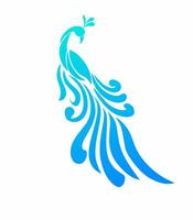 illustration graphics of tribal art design peacock on a white background vector