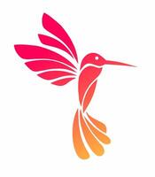 illustration graphics of tribal art design hummingbird tattoo on a white background vector