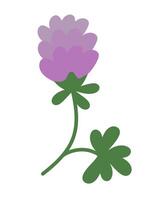 Flower clover. Purple Trefoil illustration. Flat doodle simple plant. Summer or spring element. vector