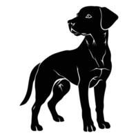 A Dog Silhouette isolated on a white background. vector