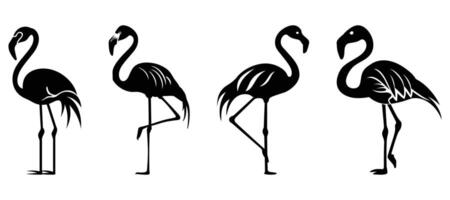 Flamingo Silhouette isolated on a white background. vector