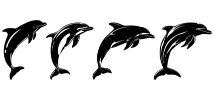 Dolphin Silhouette isolated on a white background. vector