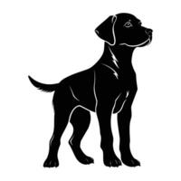 A Dog Silhouette isolated on a white background. vector