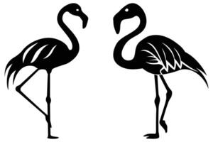 Flamingo Silhouette isolated on a white background. vector